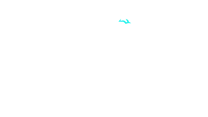 Lions Lair Pro gym