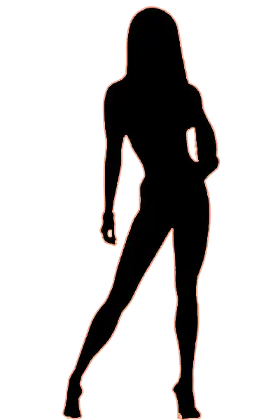 NPC Fit Model Guidelines